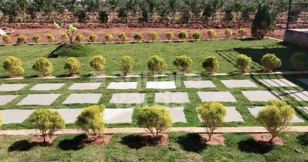 Keya The Urban Forest